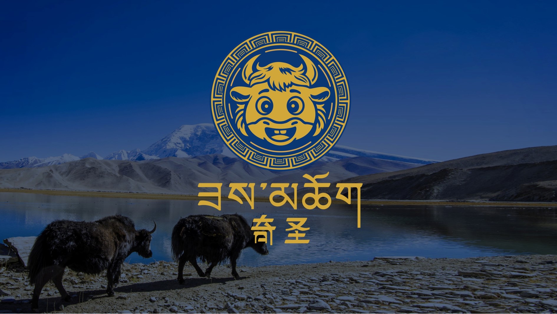 一块牦牛肉干的风云史：走向全国！聚焦年轻客群...